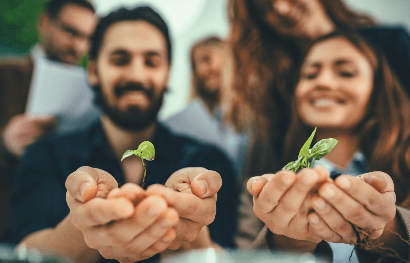 Writing Instruction Forest? A Personal Look at SRSD Taking Root